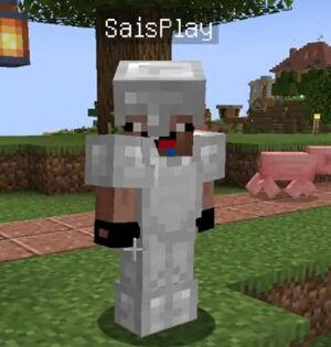 Стасій Плей SaisPlay портрет пиля дуба.jpg