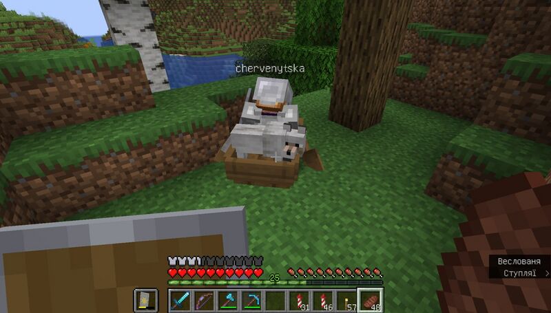 Файл:Photo 2023-07-30 12-04-36.jpg