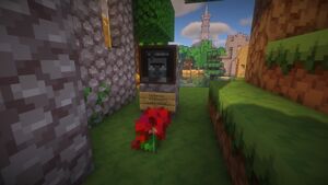 Груб Соломона Мештерчука коло церькви у Загруни