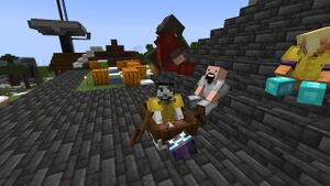 Бережниково ґаздӯвство, ґруповоє фото.jpg