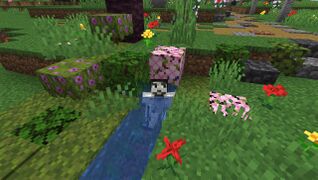 Мигаль Боржавськый у Куртацькуй Подині, у зворині из пуд вишні пиля пощі